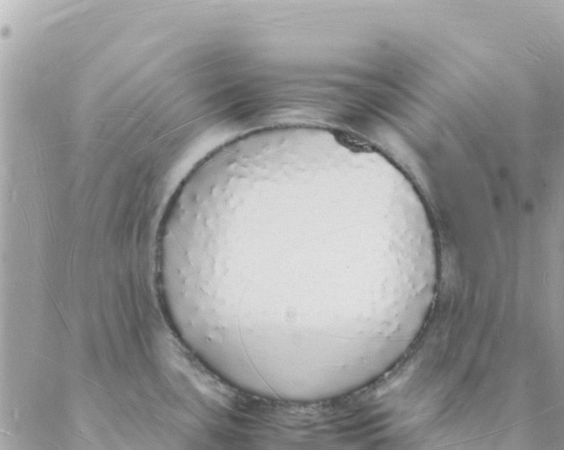 X0000088071435200706011502