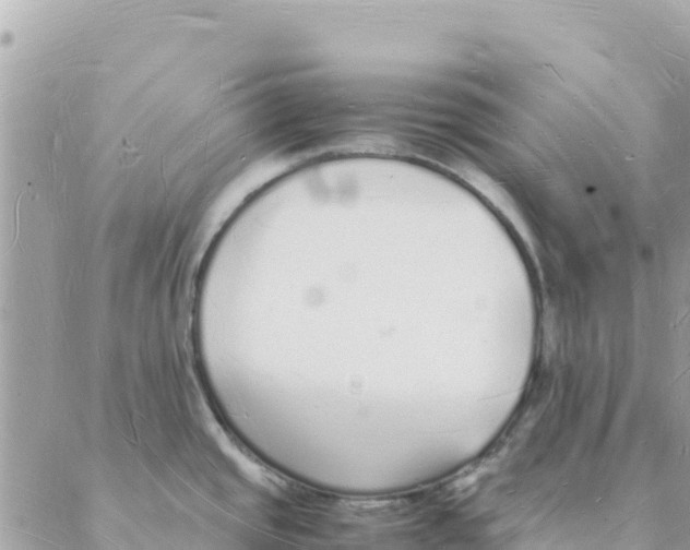 X0000088071437200706011502