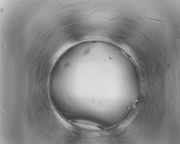 X0000088071438200706011502