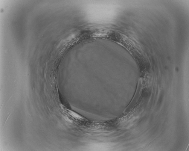 X0000088071441200706011502