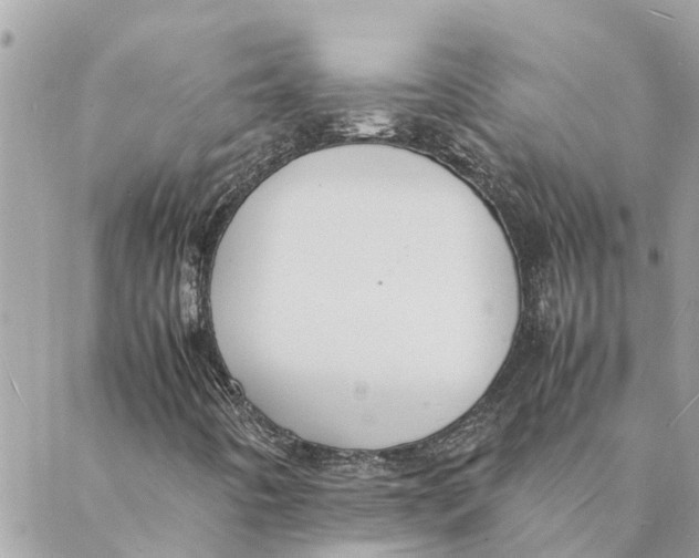 X0000088071442200706011502