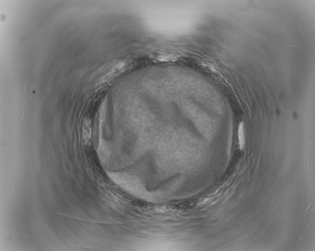 X0000088071443200706011502