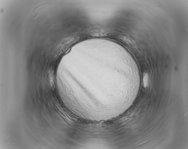 X0000088071444200706011502