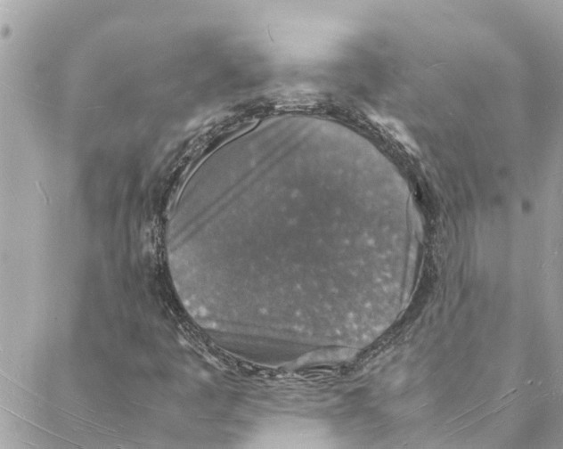 X0000088071445200706011502