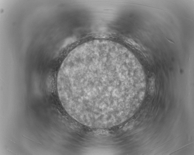 X0000088071446200706011502