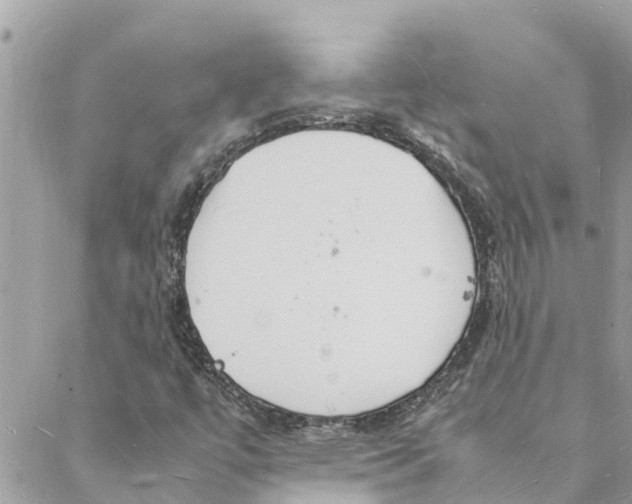 X0000088071447200706011502