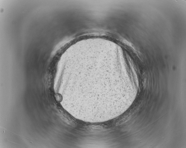 X0000088071448200706011502