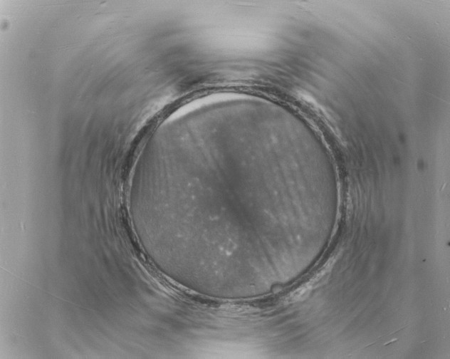 X0000088071449200706011502