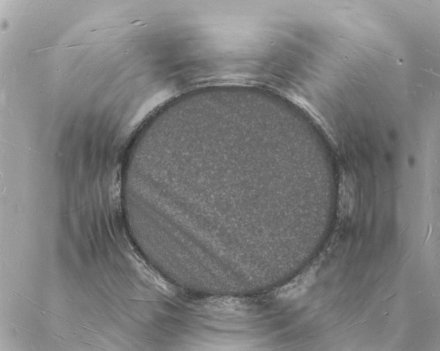 X0000088071450200706011502