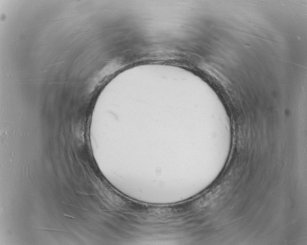 X0000088071451200706011502