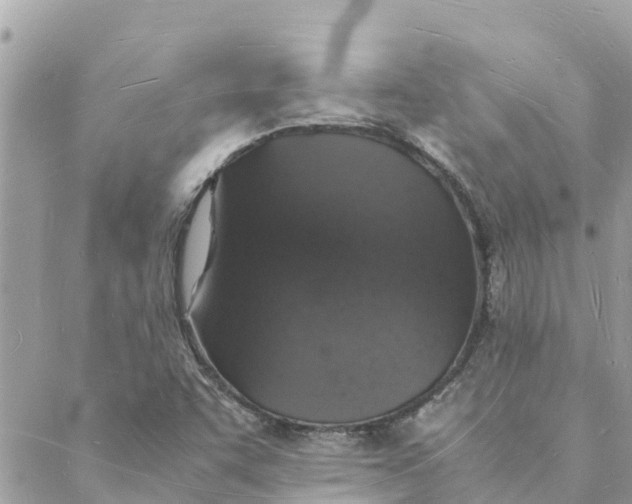 X0000088071455200706011501