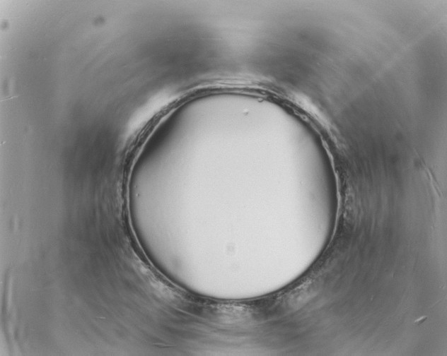 X0000088071456200706011501