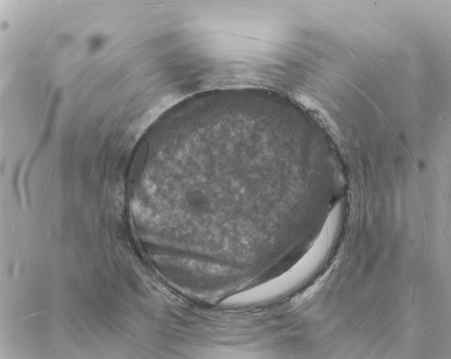 X0000088071457200706011501