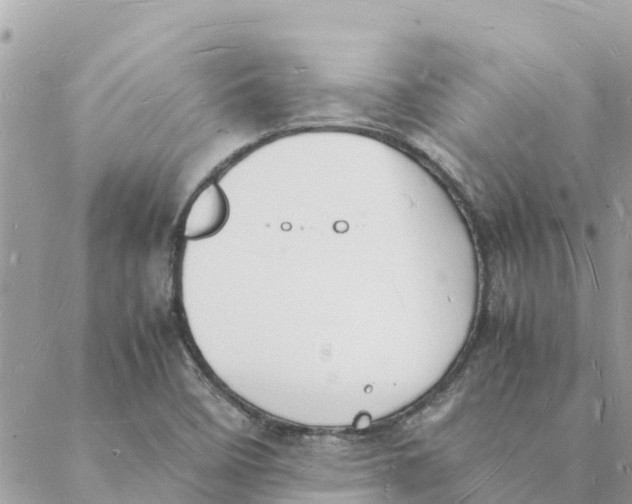 X0000088071458200706011501