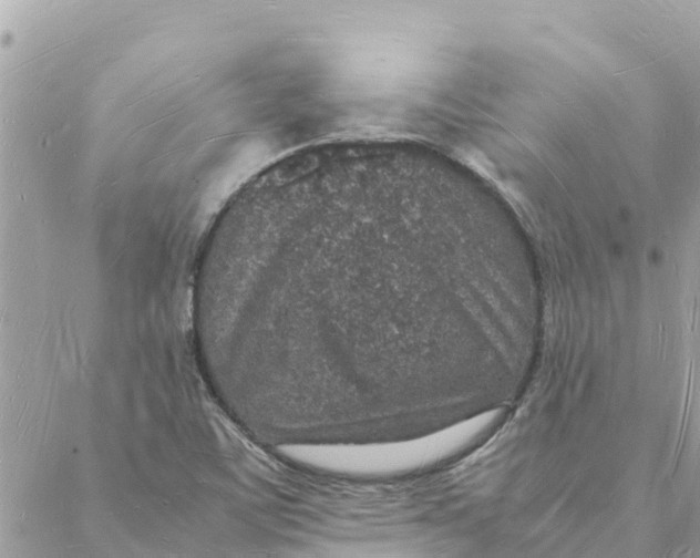 X0000088071459200706011501