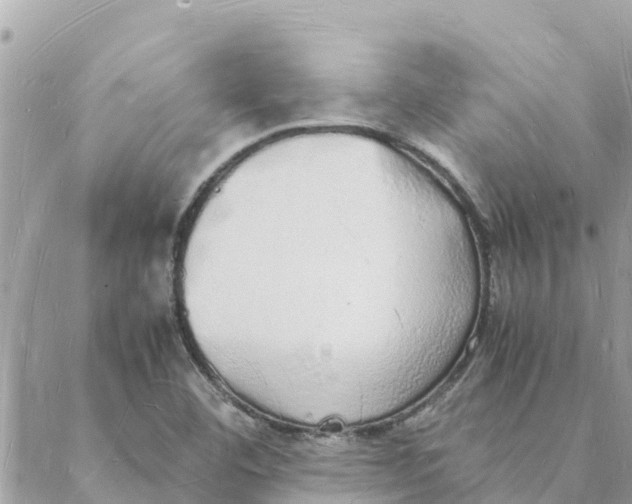 X0000088071460200706011501