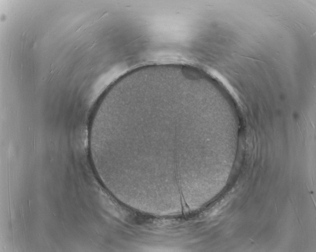 X0000088071461200706011501