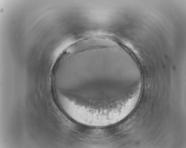 X0000088071463200706011501