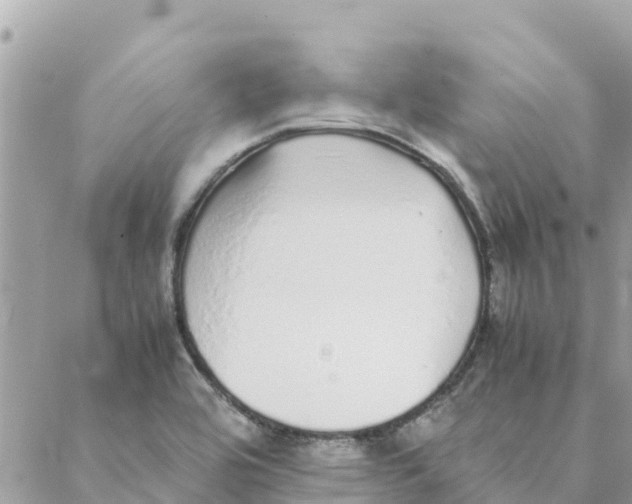 X0000088071464200706011501