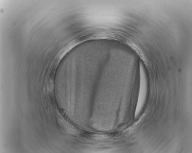 X0000088071465200706011501