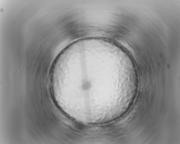 X0000088071467200706011501