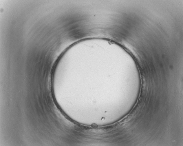 X0000088071468200706011501