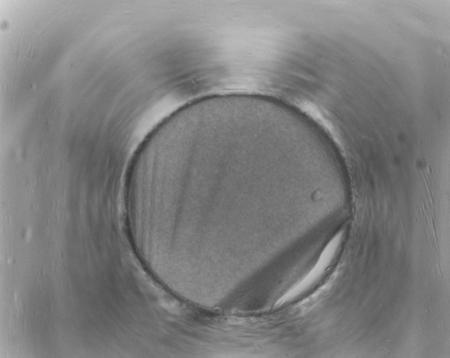 X0000088071469200706011501