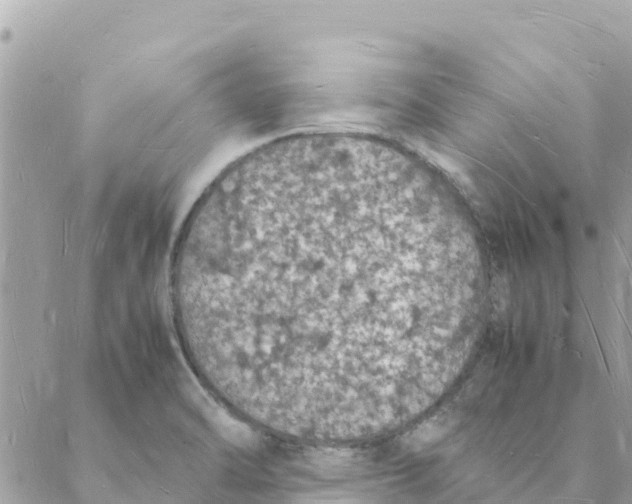 X0000088071470200706011501