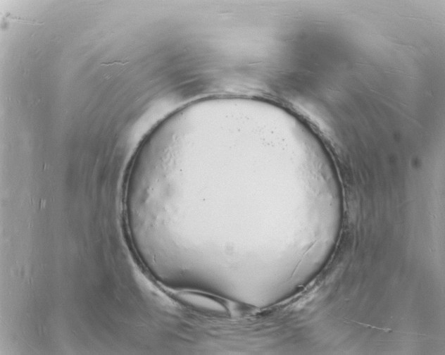 X0000088071471200706011501