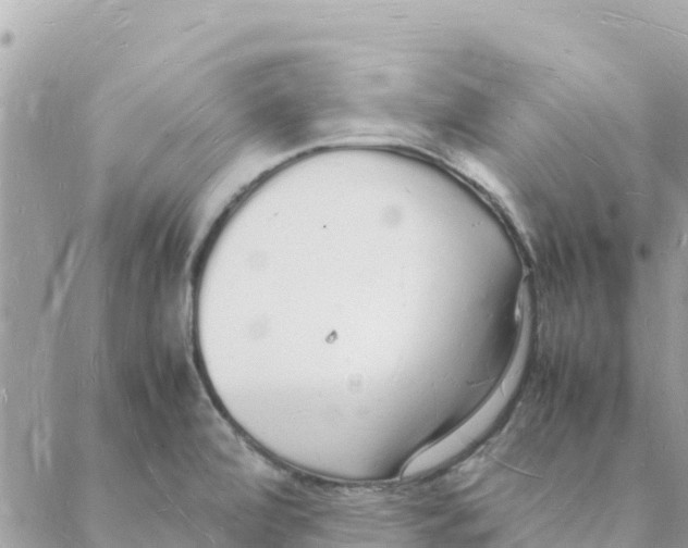 X0000088071472200706011501