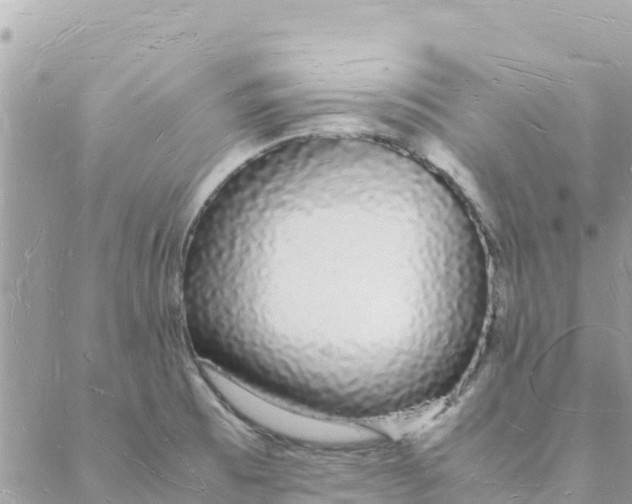 X0000088071473200706011501