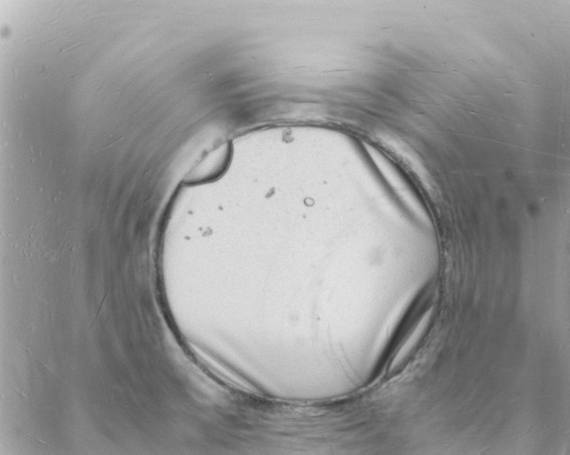 X0000088071475200706011501