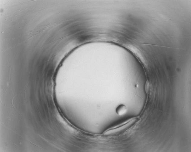 X0000088071476200706011501