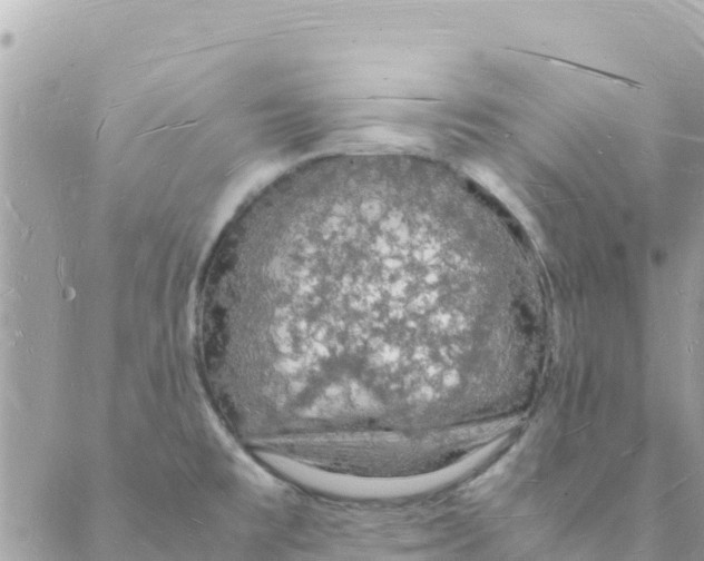 X0000088071477200706011501