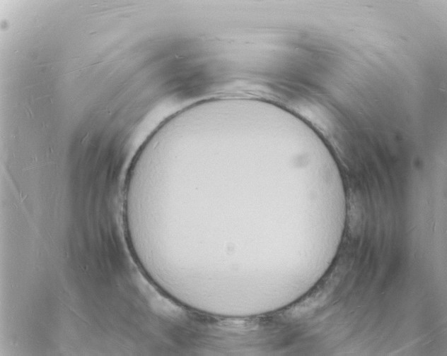 X0000088071478200706011501