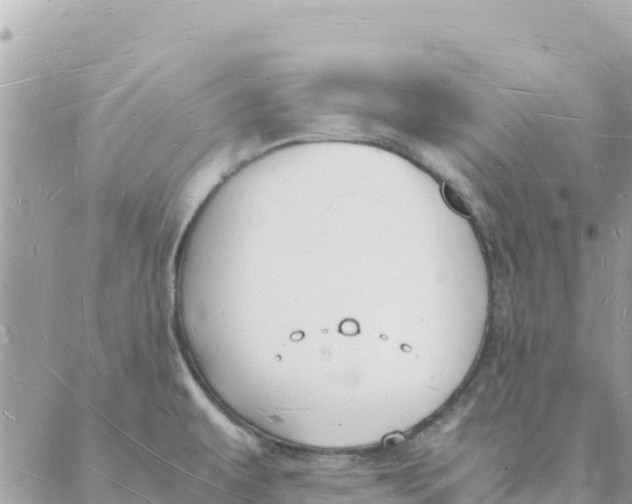 X0000088071479200706011501