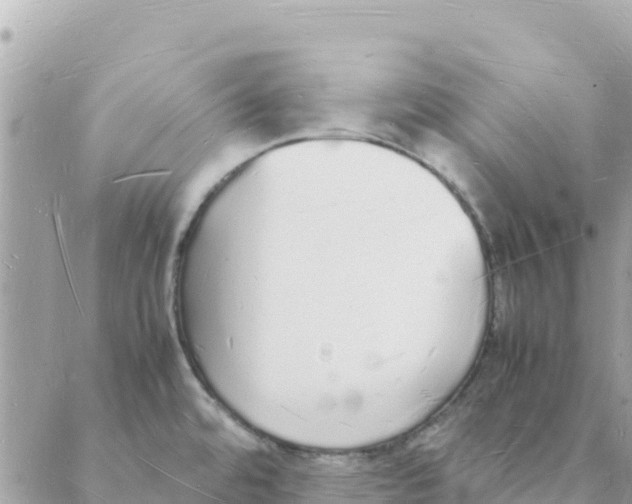 X0000088071480200706011501