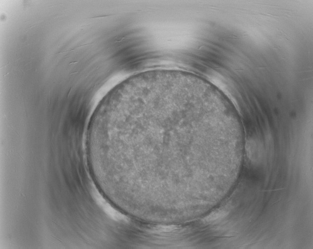 X0000088071482200706011501