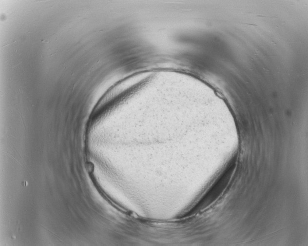 X0000088071483200706011501