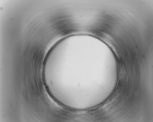 X0000088071484200706011501