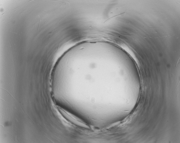 X0000088071485200706011501