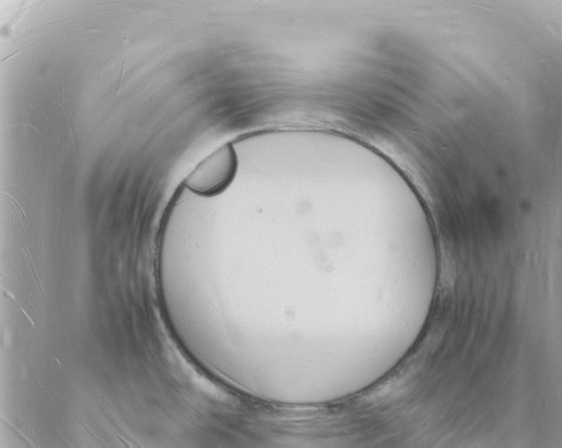 X0000088071486200706011501