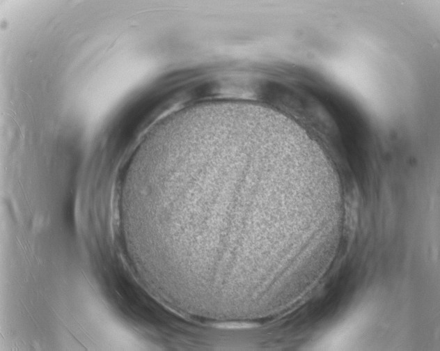 X0000088071487200706011501