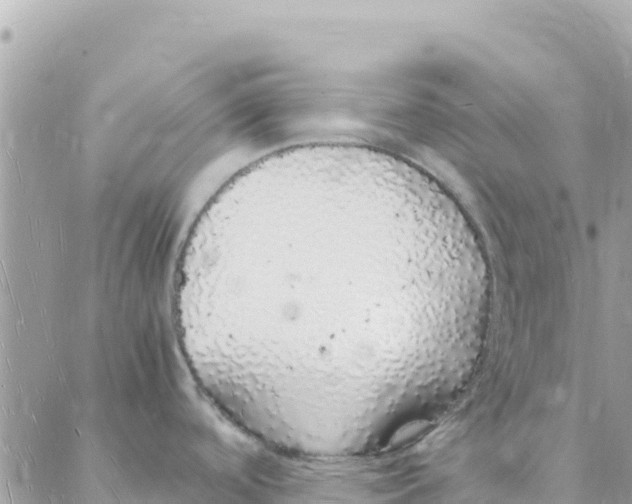 X0000088071488200706011501