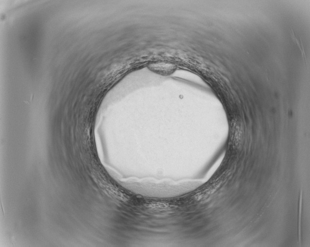 X0000088071489200706011500