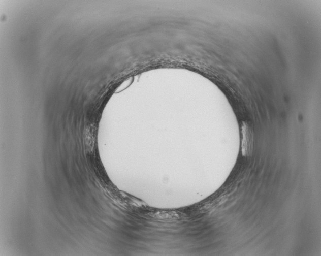 X0000088071491200706011500