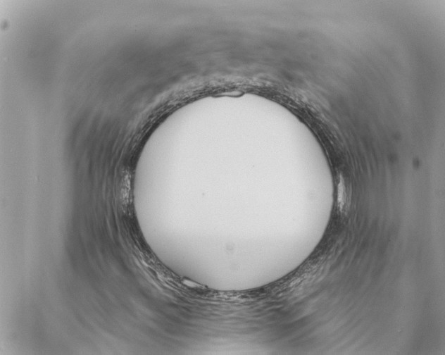 X0000088071492200706011500