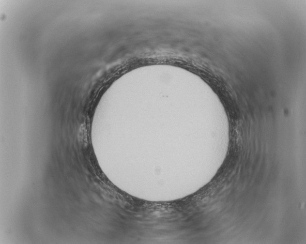 X0000088071493200706011500