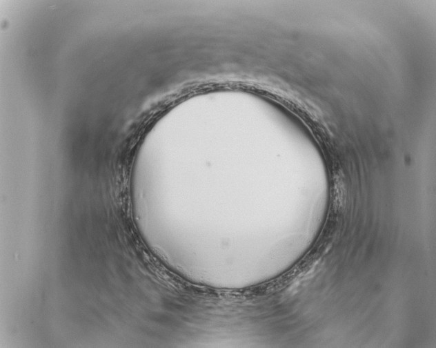 X0000088071494200706011500