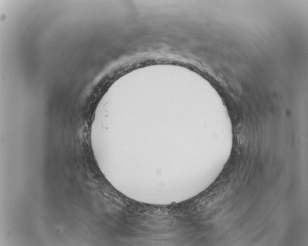 X0000088071495200706011500